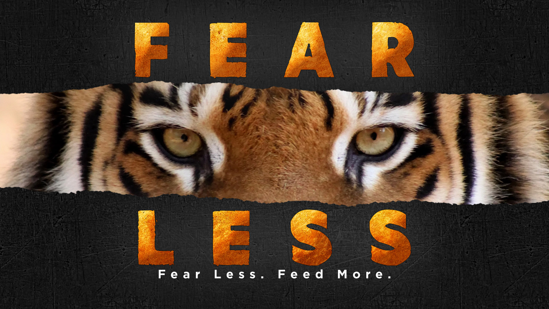  Fearless